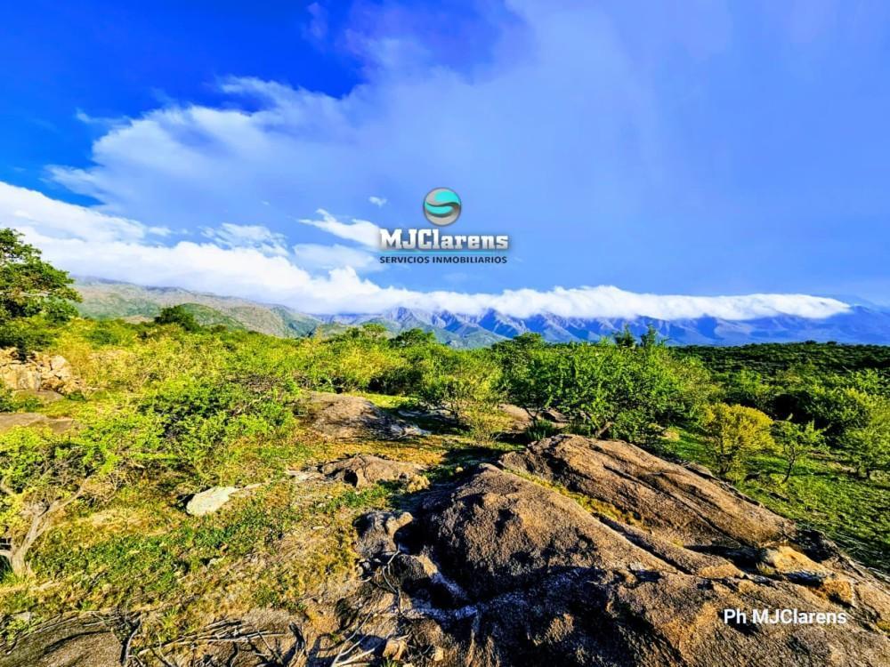 Foto de Campito en Venta 5 hectareas NONO, imagen 5