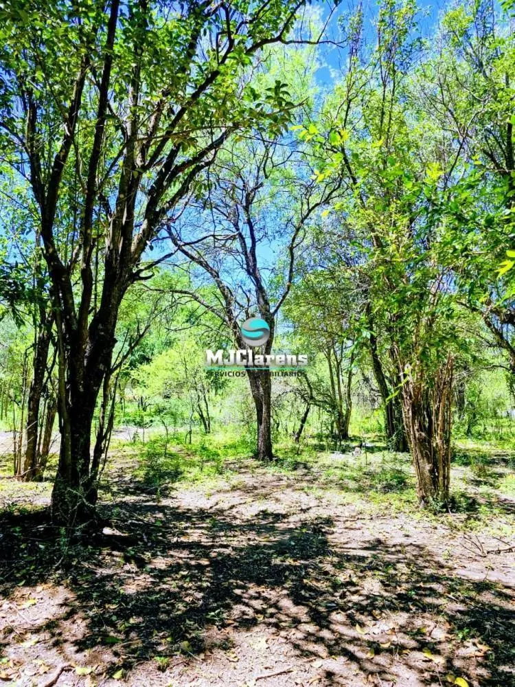 Lote 1.6 Ha en Las Rabonas - 50m Ruta 14 - Escritura y Agua Conectada 5