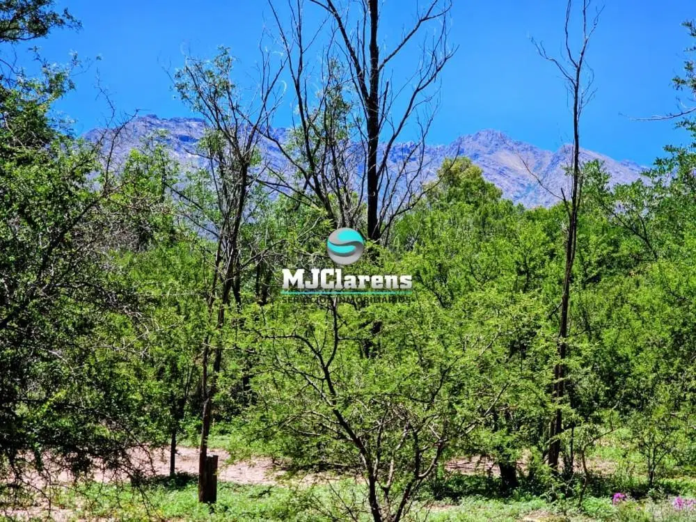 Lote 1.6 Ha en Las Rabonas - 50m Ruta 14 - Escritura y Agua Conectada 2