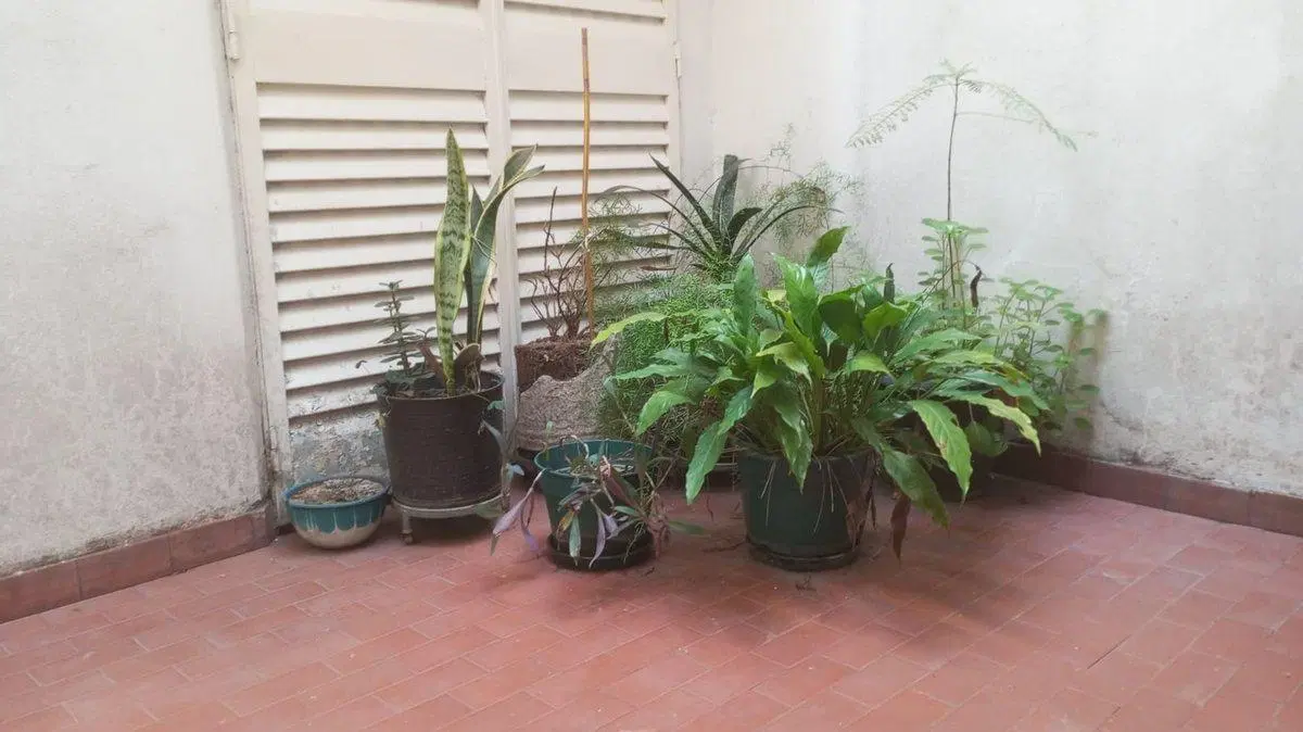 PH VENTA 3 AMB. P.BAJA  2 PATIOS C/COCHERA V. LURO 2