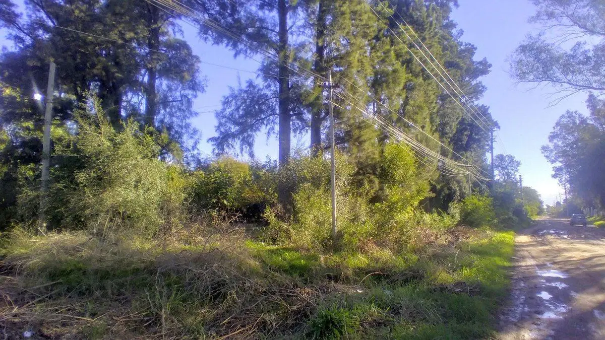 Venta 4 Lotes en Block en Merlo 3000 m2 totales 4