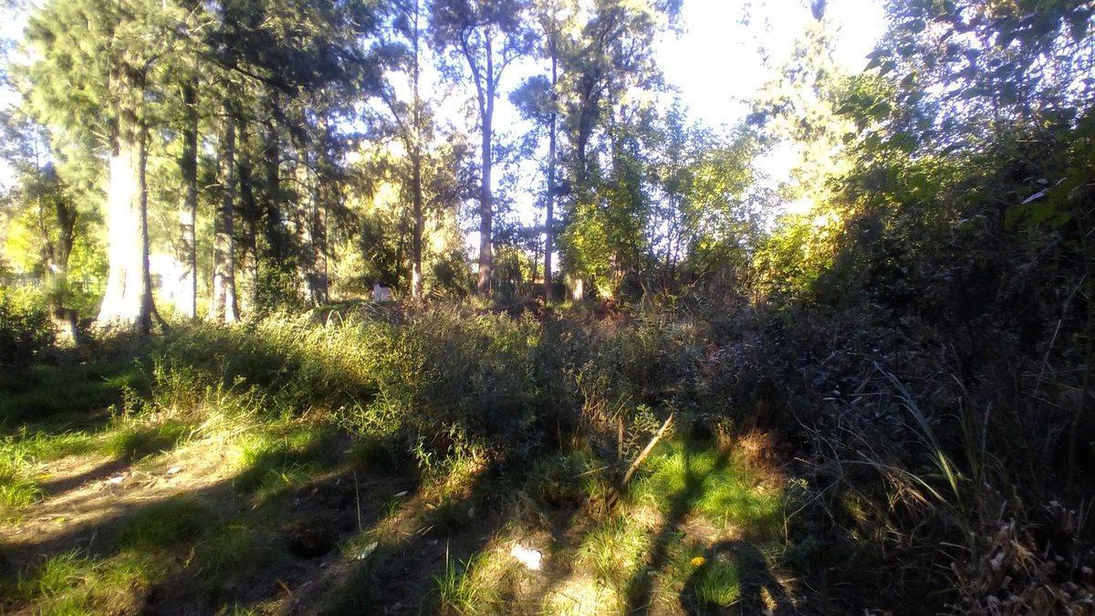 Foto de Venta lote en Merlo 944 m2 totales, imagen 4