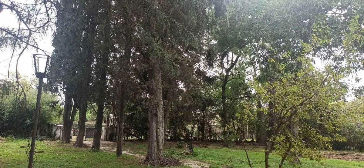 Quinta La Cenicienta en calle 40 al 5300 Plátanos 4