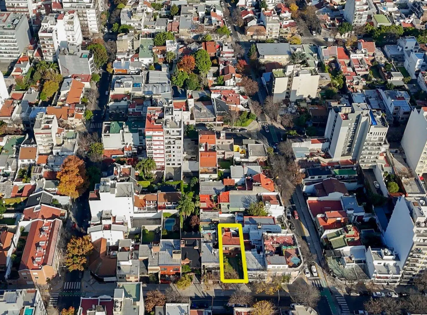 Lote USAM Flores: Alta Demanda y Excelente Precio 3