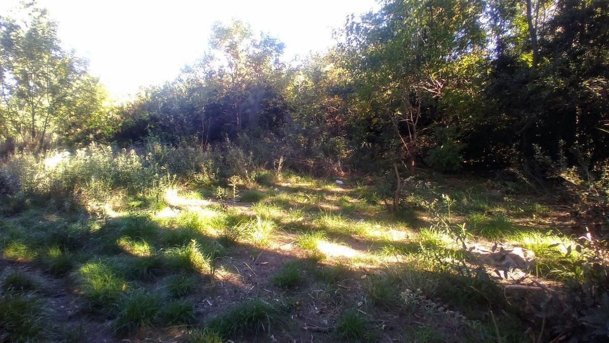 Foto de Venta 4 Lotes en Block en Merlo 3000 m2 totales, imagen 5