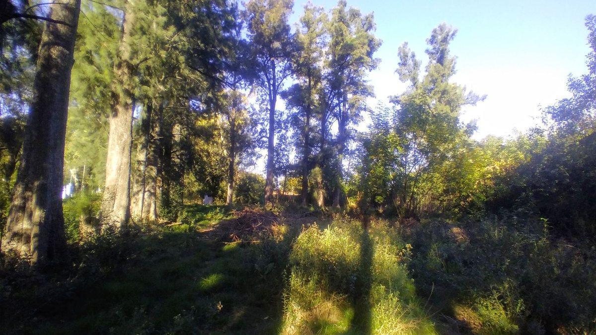 Foto de Venta lote en Merlo 690 m2 totales, imagen 2