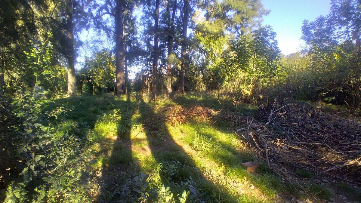 Foto de Venta lote en Merlo 690 m2 totales, imagen 4