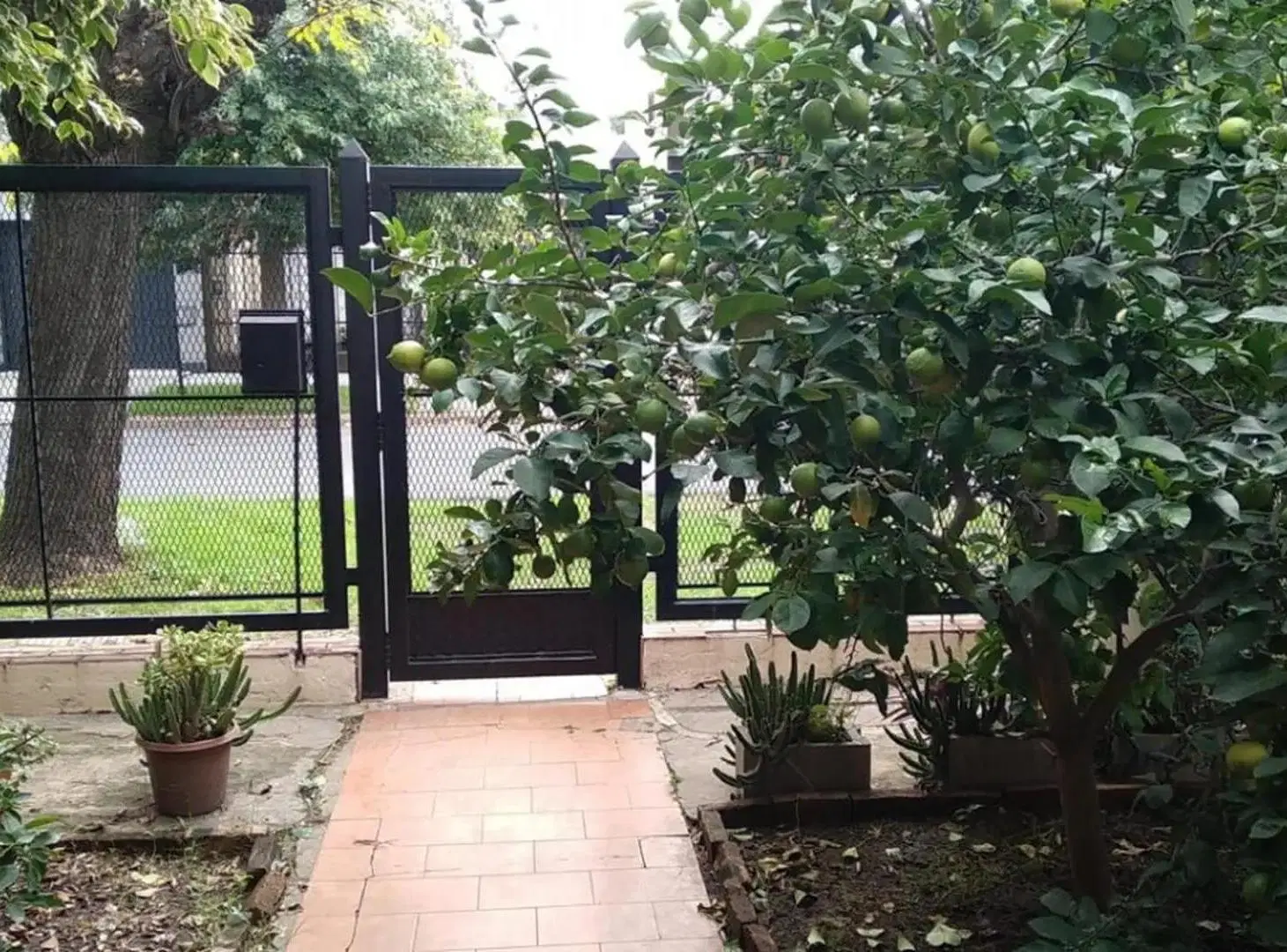 Casa en alquiler en Ramos Mejia 5