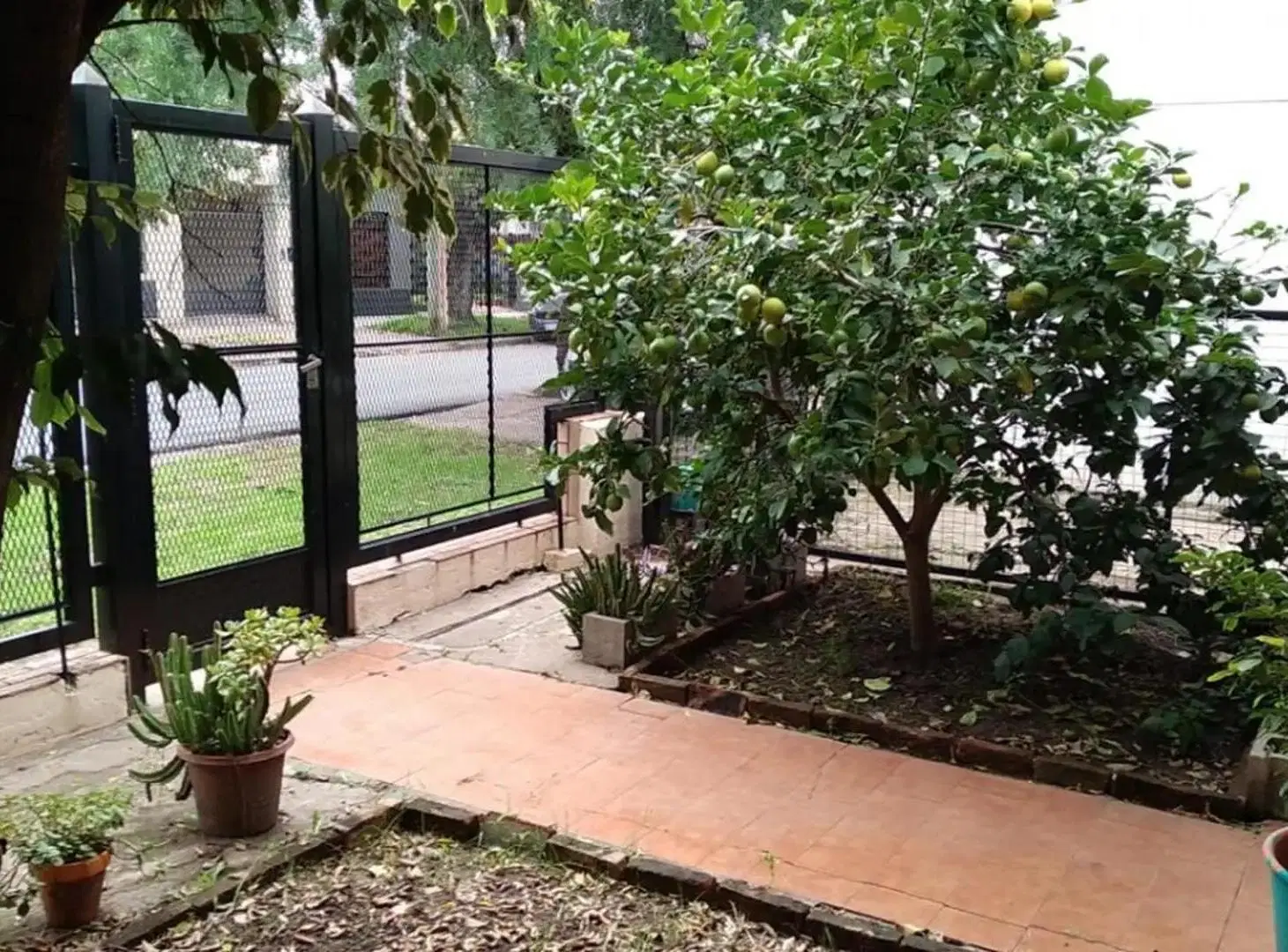 Casa en alquiler en Ramos Mejia 2