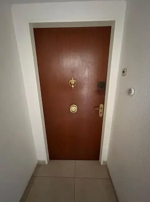 Departamento en Zona Centro 8
