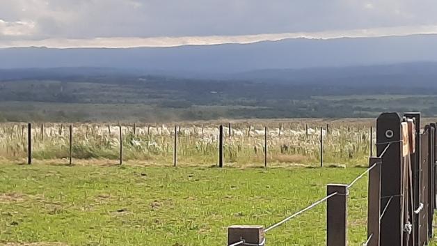 Dueño Directo Vende Lote 825 M.2 Zona Rio Los Reartes 2