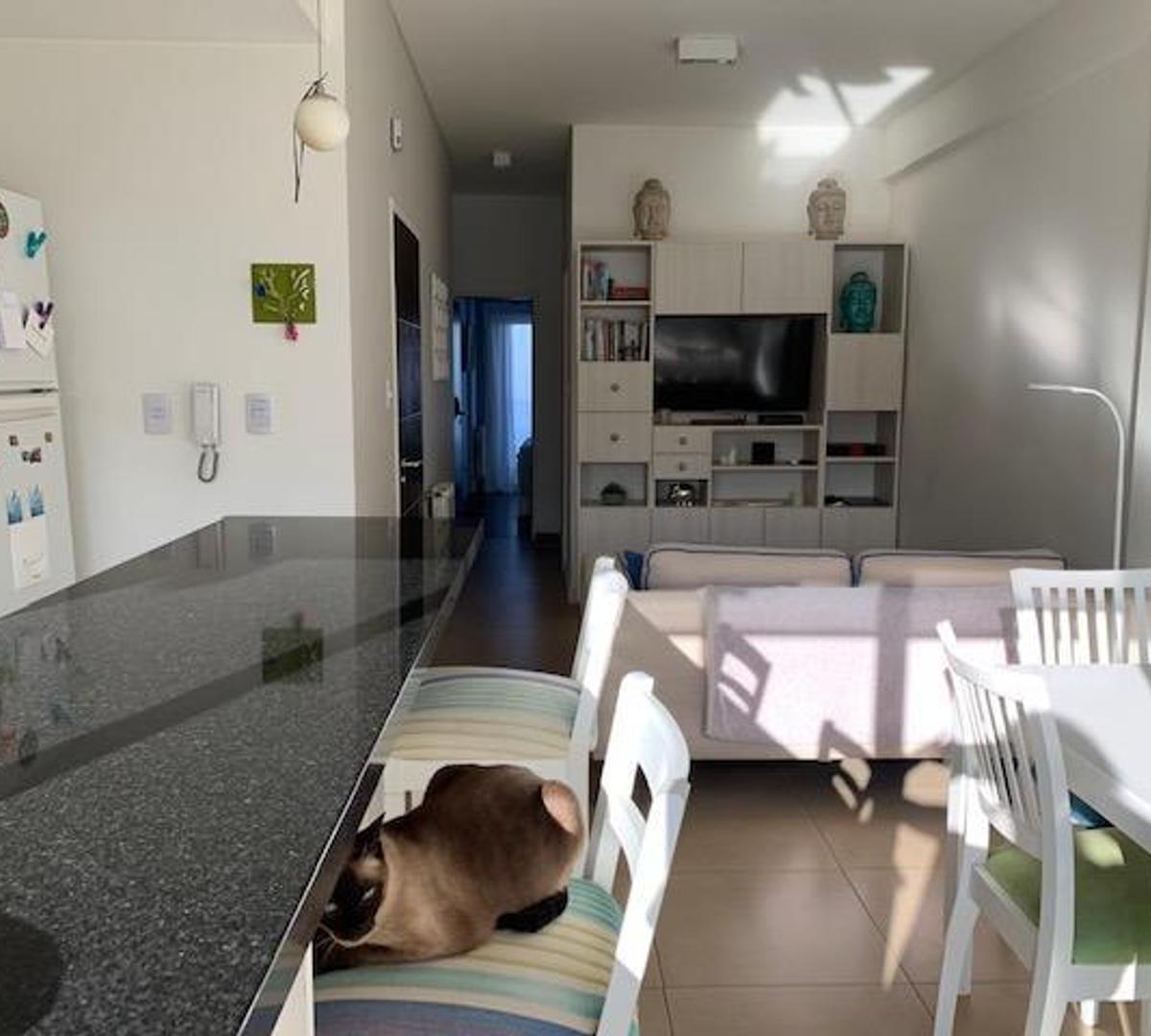 Foto de Excelente semipiso de 2 amb.+cochera+baulera. Cerca Plaza Conesa, imagen 2
