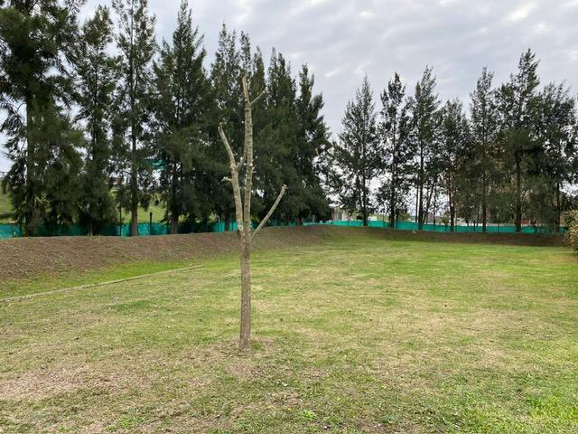 Excelente lote en Las Acacias. Hudson. 990,82m2