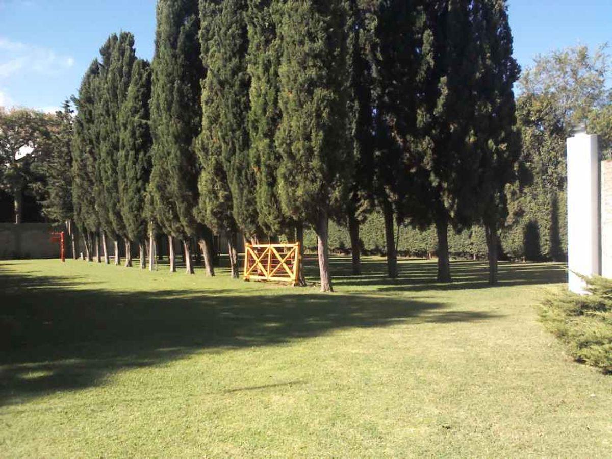 Foto de 2 LOTES EN VENTA EN RANELAGH, imagen 3