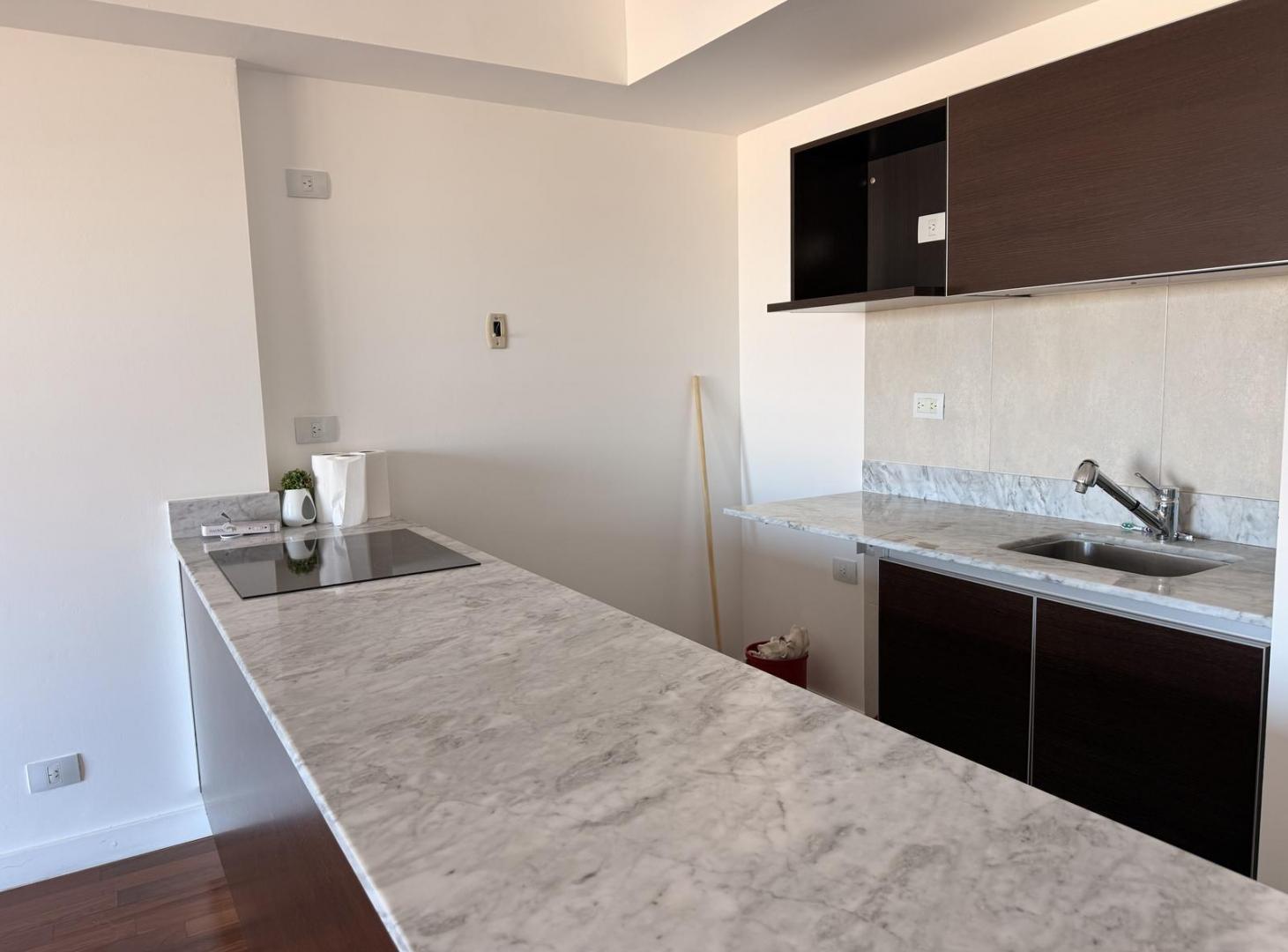 Foto de Alquiler departamento 1 dormitorio en Maui - Puerto Norte, Rosario, imagen 4