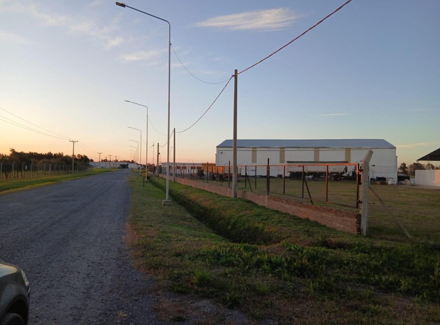 Foto de OPORTUIDAD INVERSORES. ZONA INDUSTRIAL .SE VENDE 2,6 HAS CON CASA, imagen 4