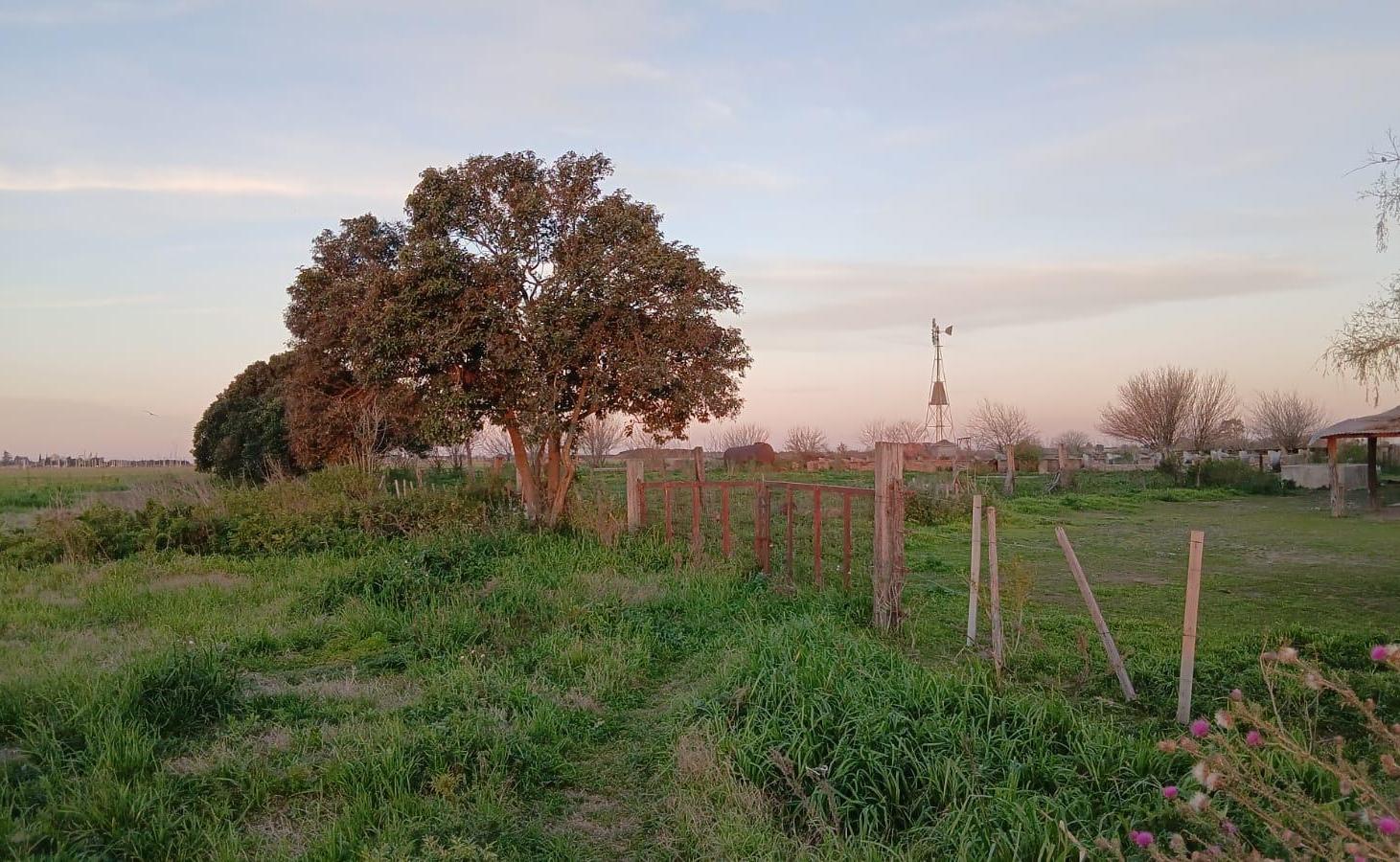 Foto de OPORTUIDAD INVERSORES. ZONA INDUSTRIAL .SE VENDE 2,6 HAS CON CASA, imagen 1