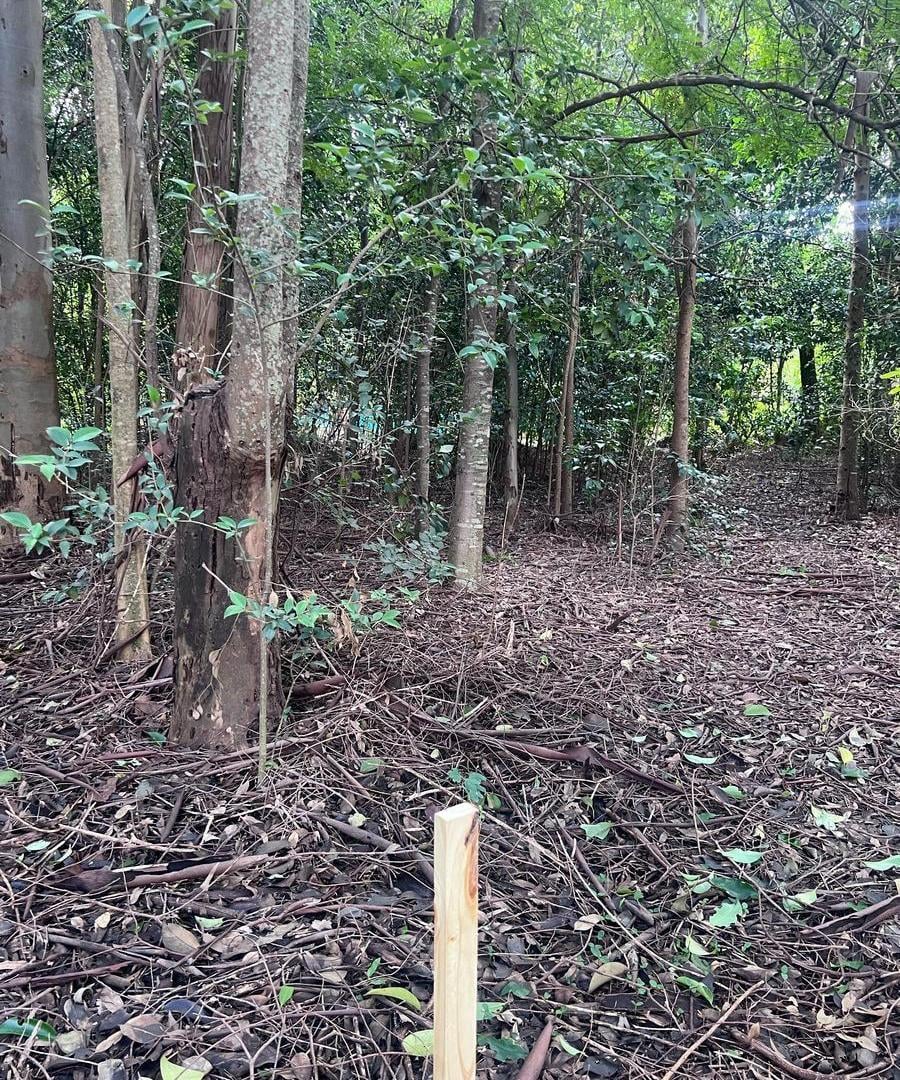 Foto de En venta terreno a pocos metros del rio, imagen 4