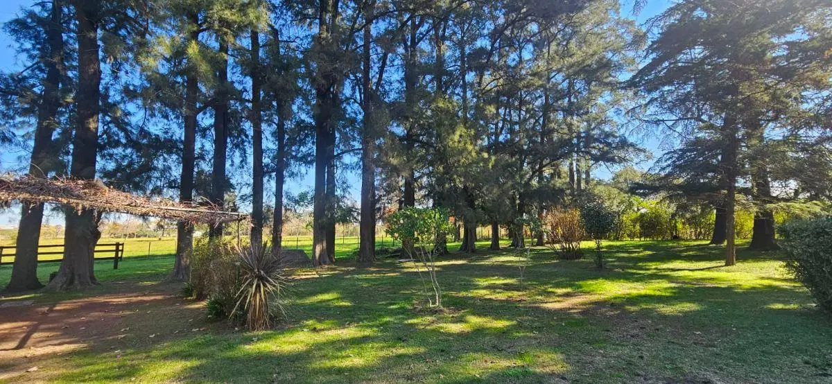 Venta Campo cerca parque industrial Pilar 8 hectareas 2