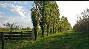 Foto de Venta Terreno Haras de Funes Club de Campo, imagen 4