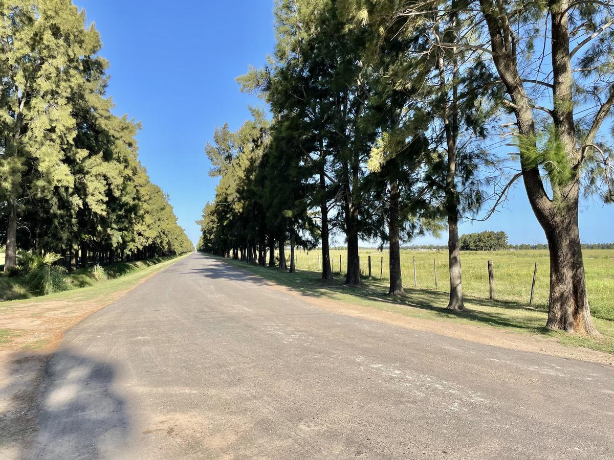 Foto de Venta Terreno Haras de Funes Club de Campo, imagen 3