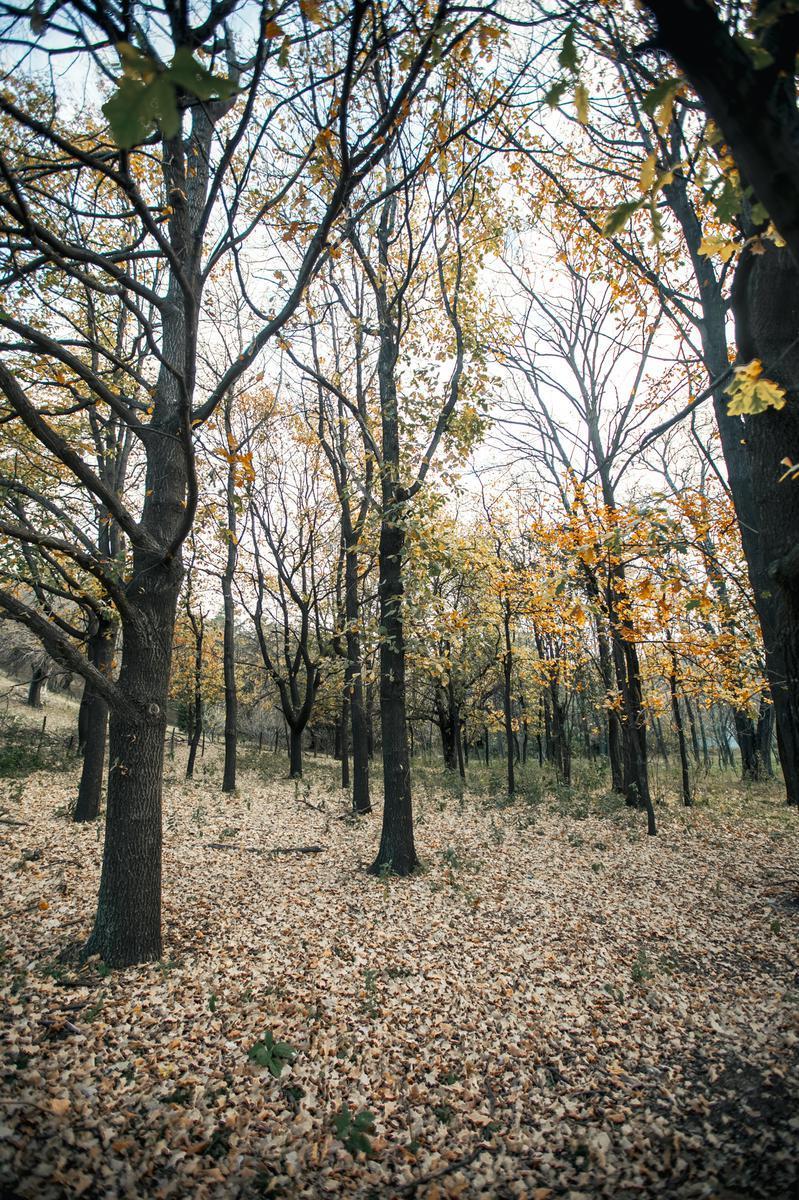 Foto de Terreno en Ascochinga Cordoba- Barrio Cerrado, imagen 3