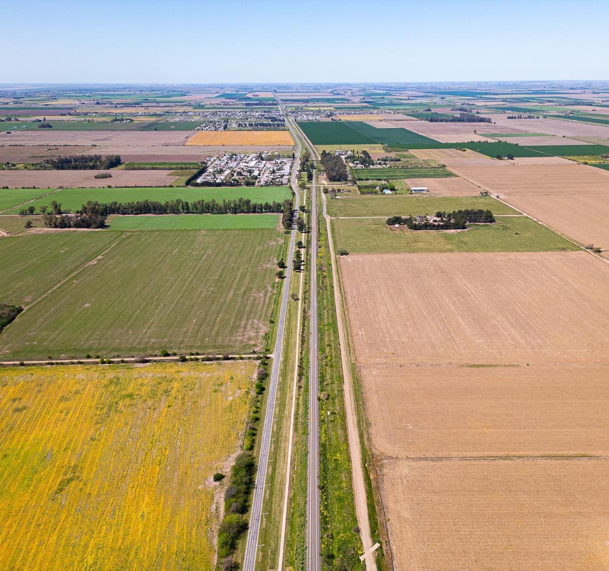 Campo en Pavón, Santa Fe. 4