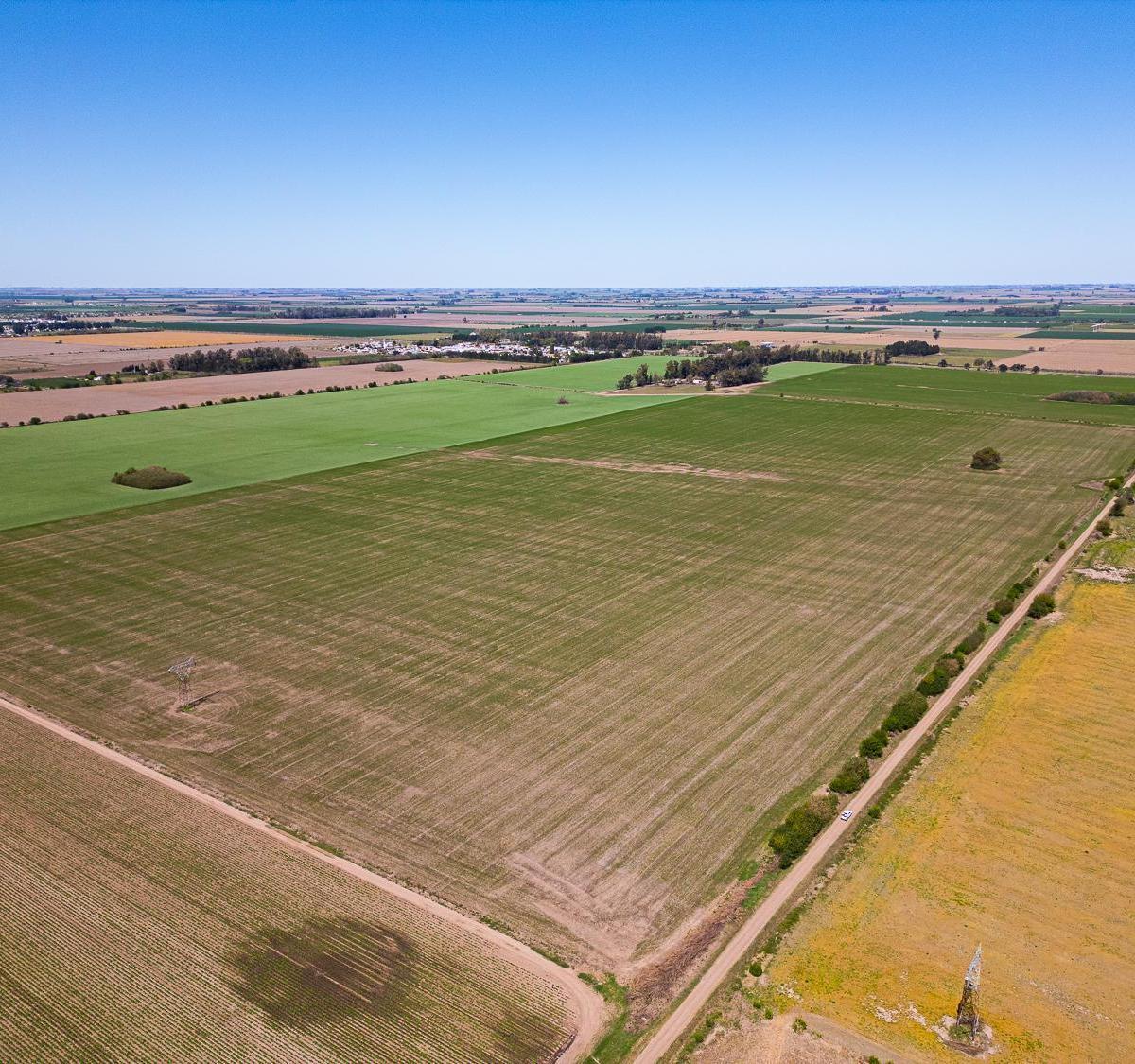 Campo en Pavón, Santa Fe. 1