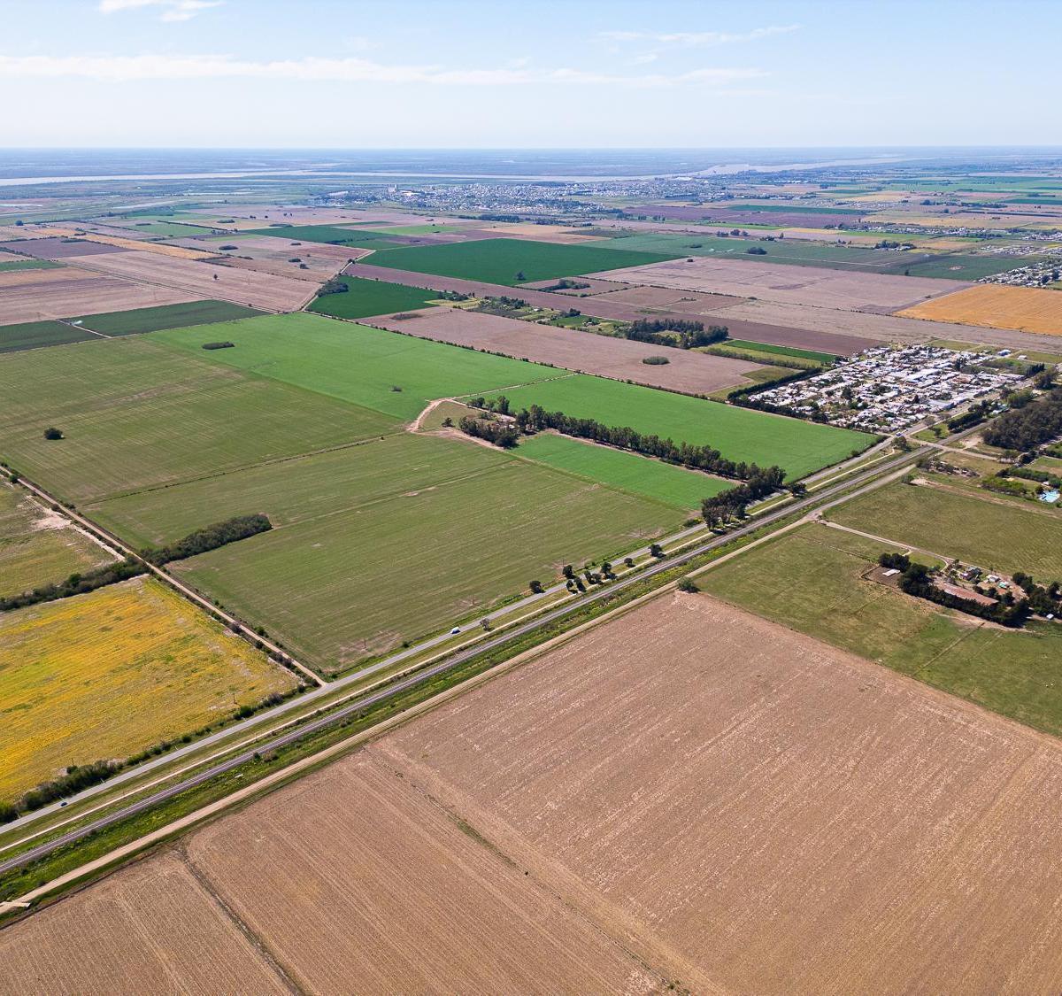 Campo en Pavón, Santa Fe. 3