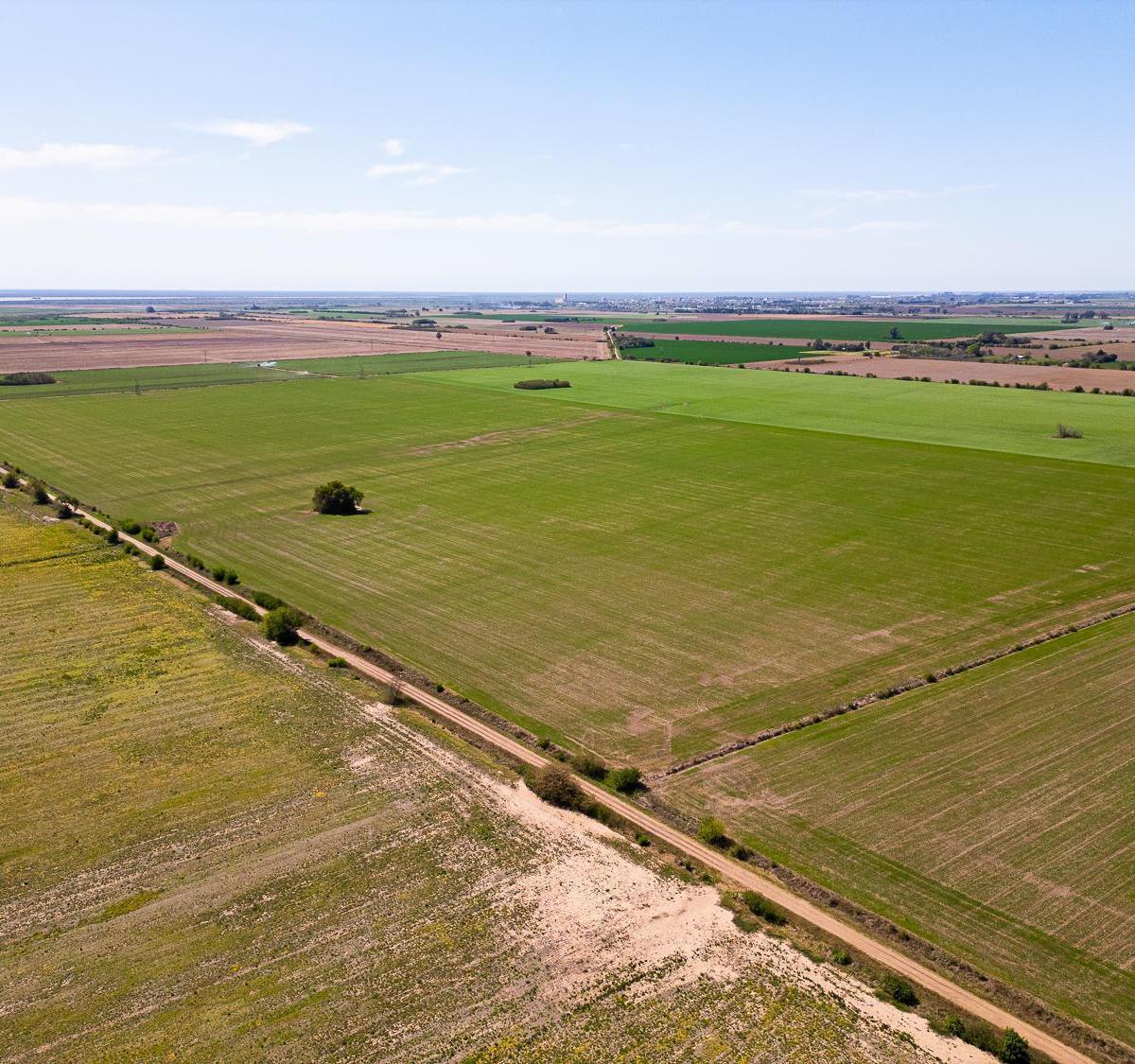 Campo en Pavón, Santa Fe. 5