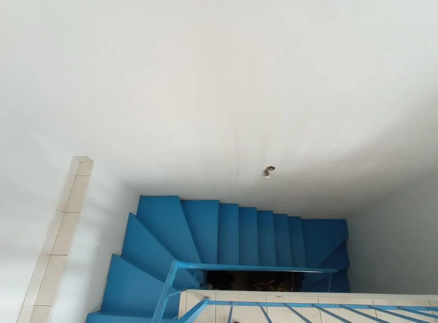 Venta Casa Dos Dormitorios con cochera y jardín España y Hospitales 5