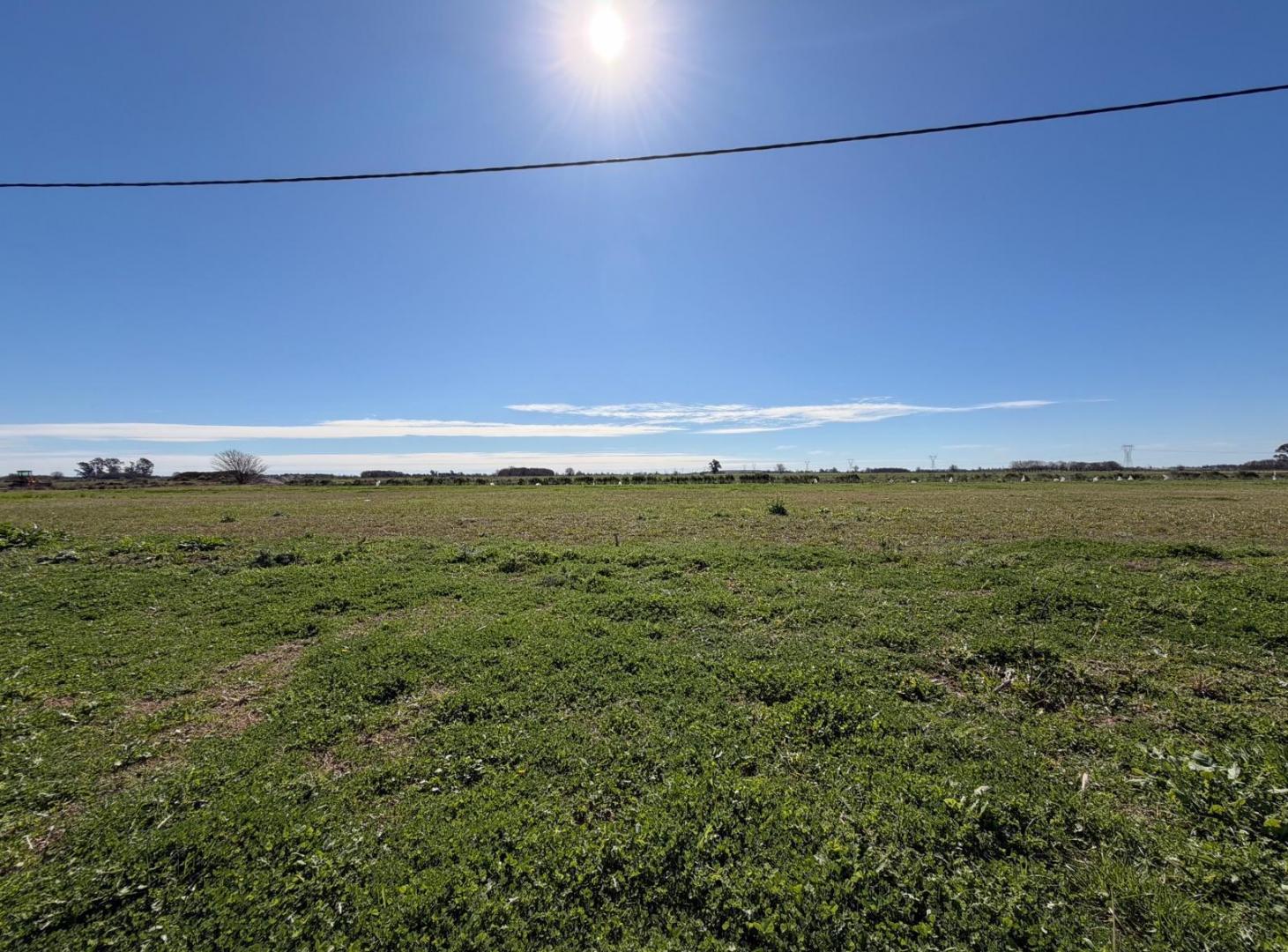 Foto de Venta terreno de 450m2 en Fincas del Rosedal - Ibarlucea, imagen 3