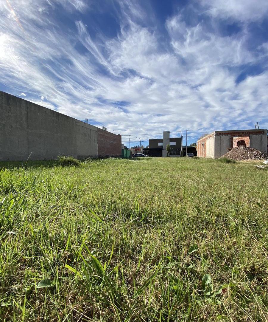 Foto de Terreno en Tierra de sueños 2, imagen 4
