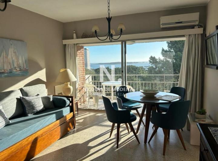 Foto de Apartamento de 1 dormitorio en Playa Mansa - Espectacular vista, imagen 4