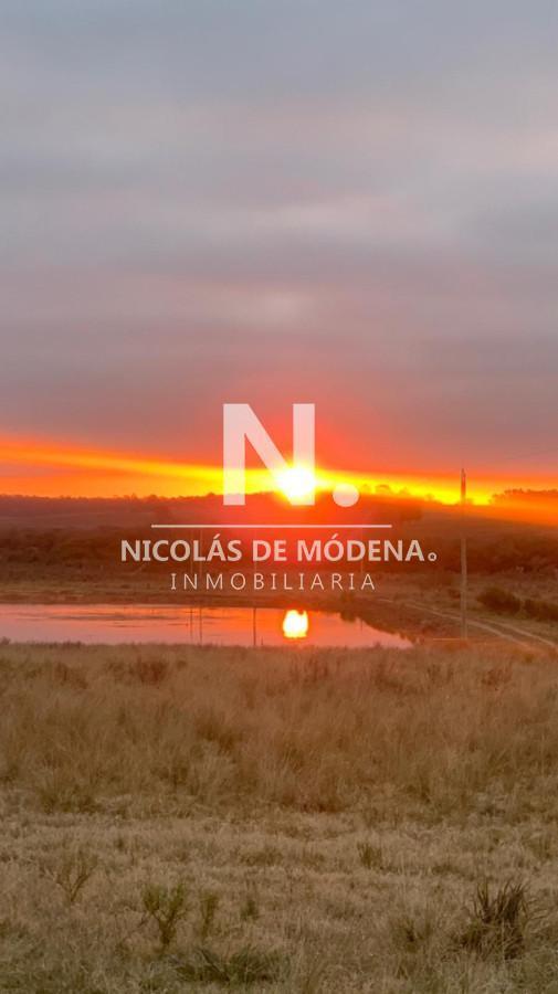 En venta campo en Jose Ignacio de 8 Has