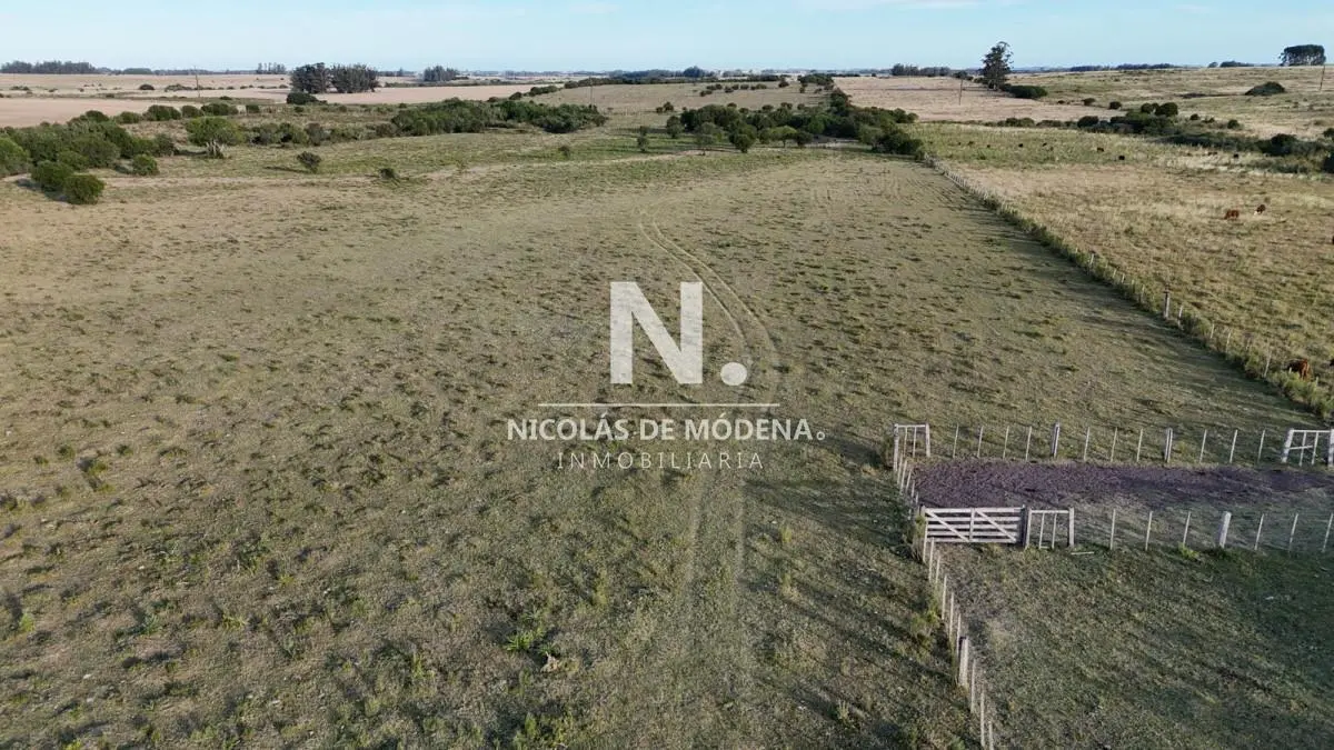 OPORTUNIDAD VENTA DE CHACRA 18 HAS 795 M2 ZONA ZANJA DE CHAVEZ 2