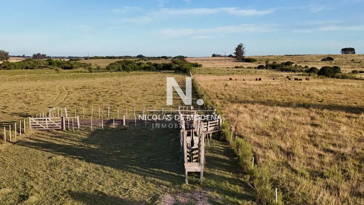 OPORTUNIDAD VENTA DE CHACRA 18 HAS 795 M2 ZONA ZANJA DE CHAVEZ 1