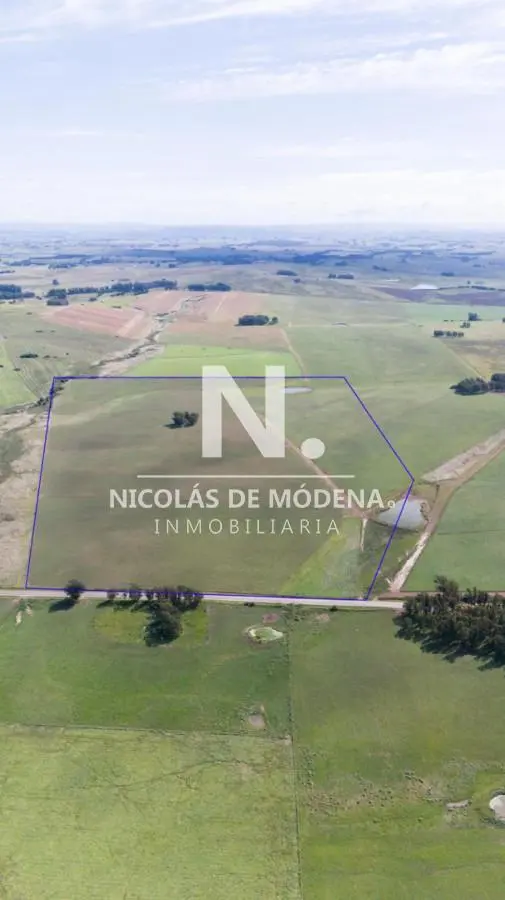 Campo de 42 Hectáreas con Alto Potencial de Inversión y Fraccionamiento - Ruta 104 & Camino del Mede 2