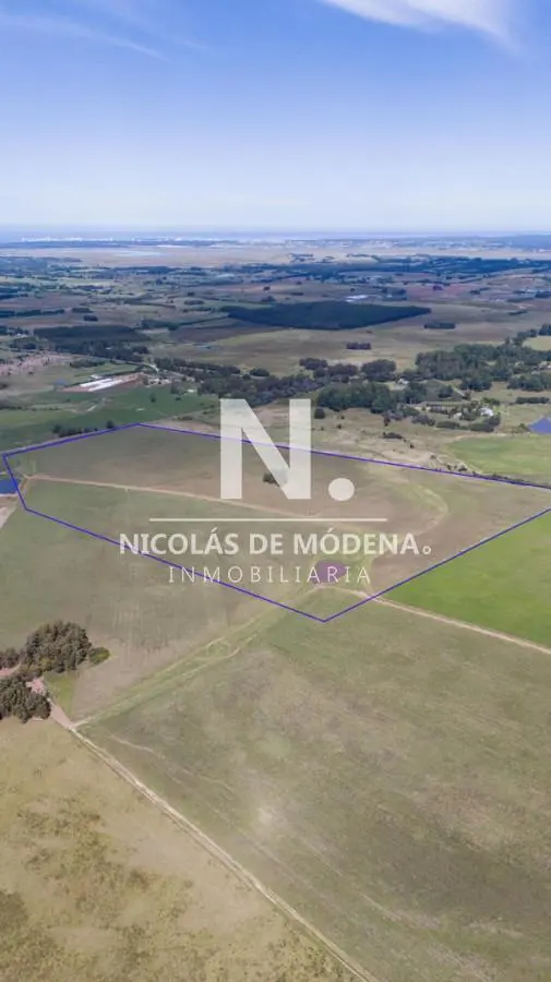 Campo de 42 Hectáreas con Alto Potencial de Inversión y Fraccionamiento - Ruta 104 & Camino del Mede 1
