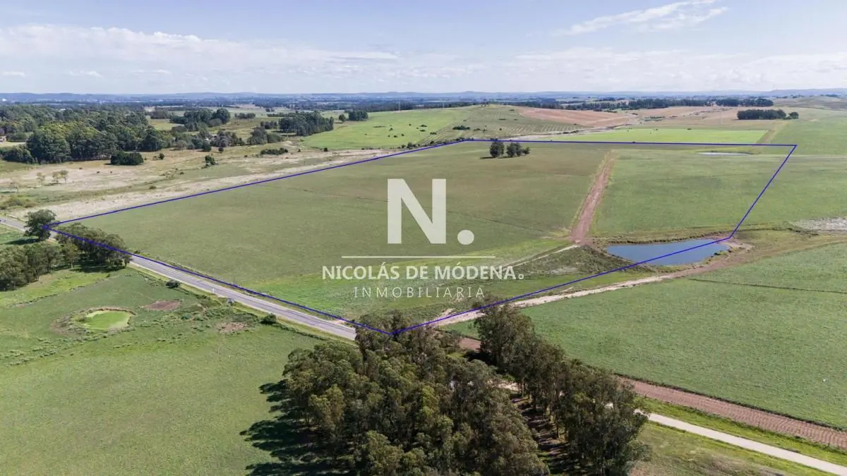 Campo de 42 Hectáreas con Alto Potencial de Inversión y Fraccionamiento - Ruta 104 & Camino del Mede 4