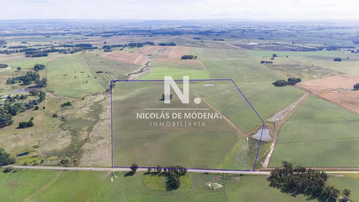 Campo de 42 Hectáreas con Alto Potencial de Inversión y Fraccionamiento - Ruta 104 & Camino del Mede 3