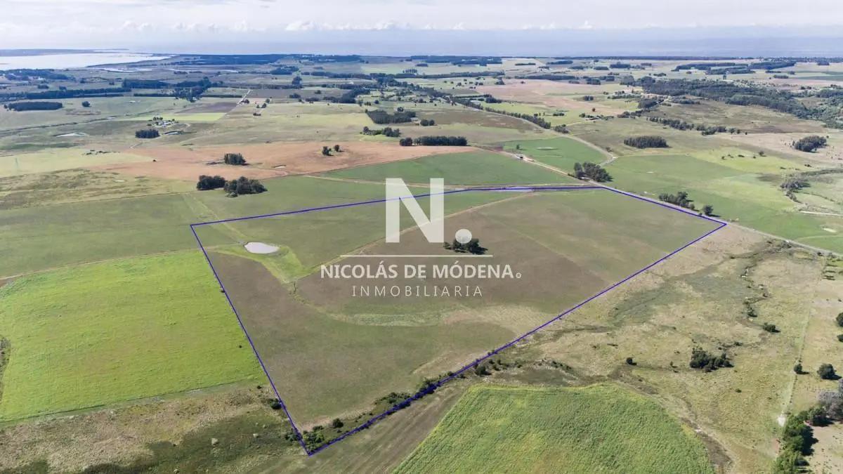 Campo de 42 Hectáreas con Alto Potencial de Inversión y Fraccionamiento - Ruta 104 & Camino del Mede 5