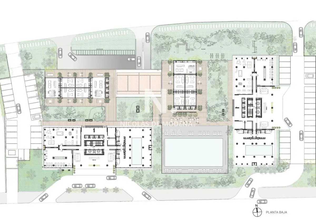 Plano 8