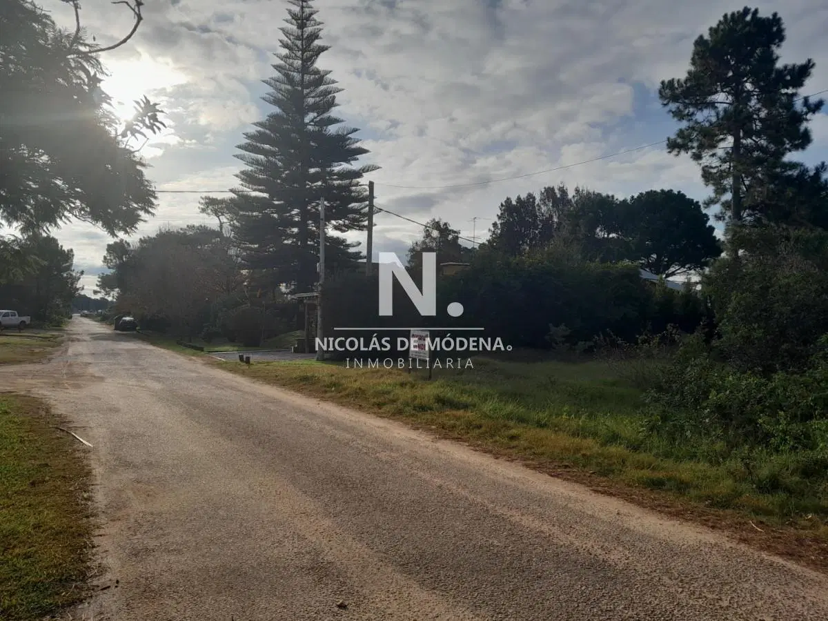 Muy buen entorno! 4