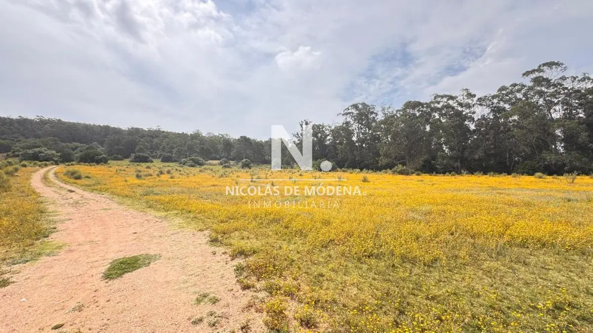 Campo de 5 has con 4658 m2 en La Pataia 2