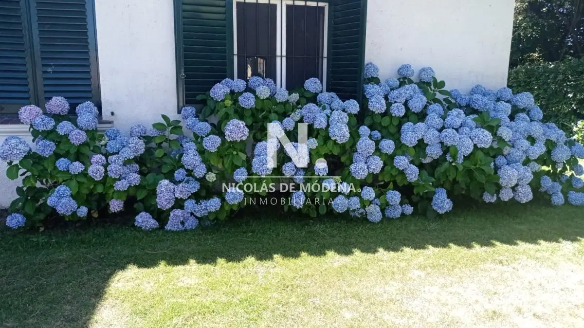 Hermosa casa en zona San Rafael en alquiler 5