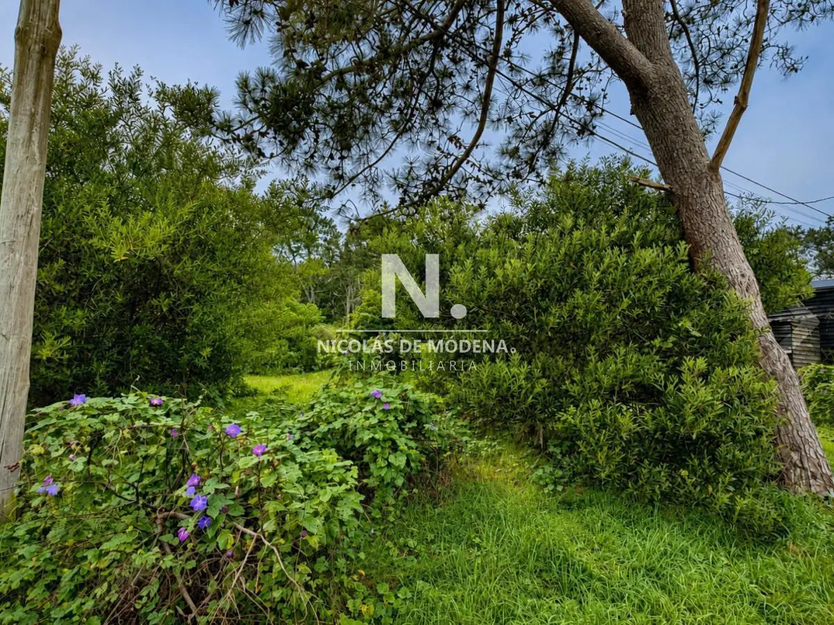 En venta terreno de 400m2 en Manantiales, Maldonado 2