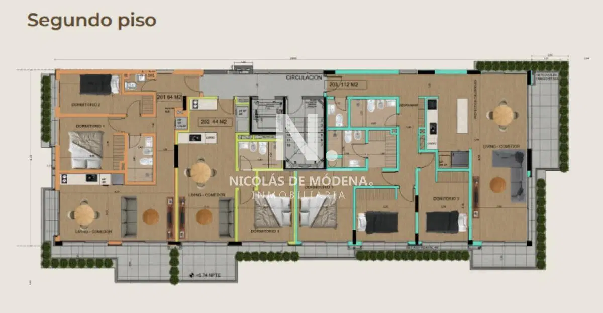 Plano 5