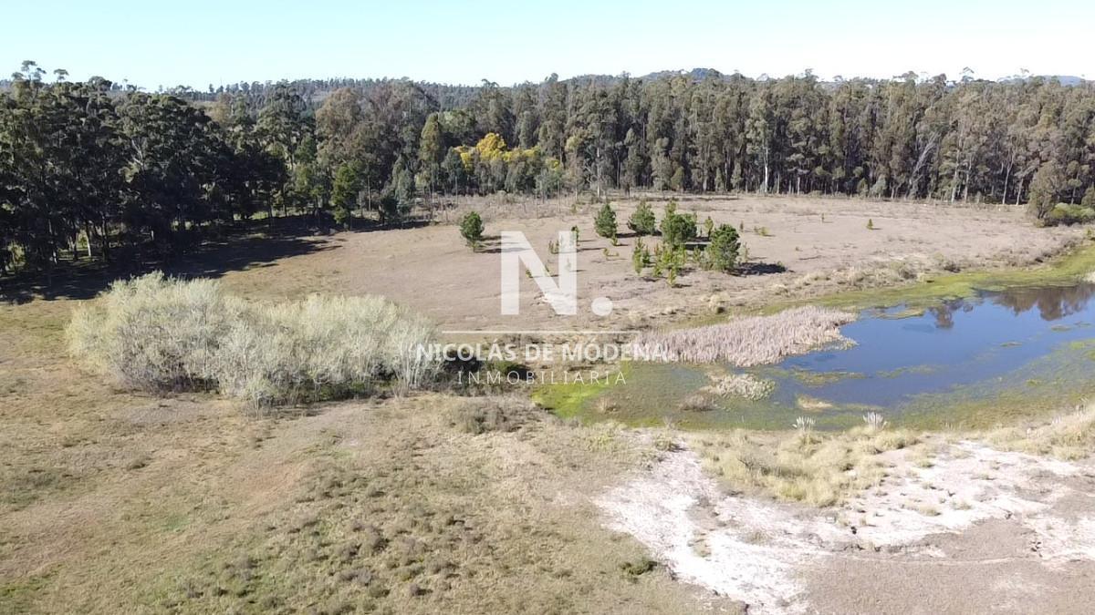 Foto de Venta chacra con vista a la laguna del sauce, imagen 1