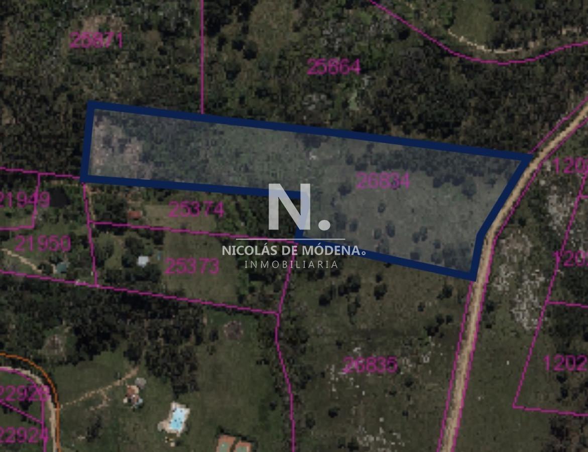 Foto de Venta chacra sobre camino La pataia Punta Ballena, imagen 3